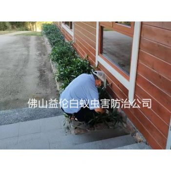 里水梦里水乡灭老鼠捕鼠工程