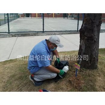 明城小学防治红火蚁