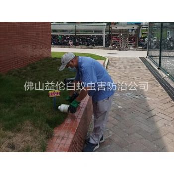 乐从校区灭红火蚁