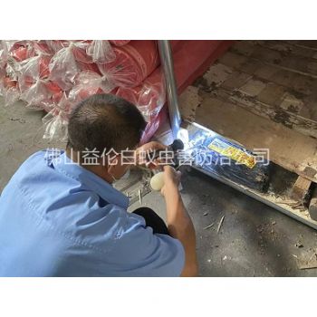 杏坛仓库白蚁防治