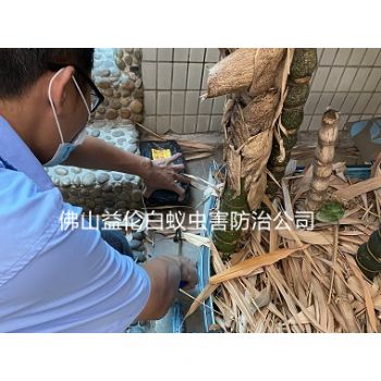 高明碧桂园半山别墅灭治白蚁
