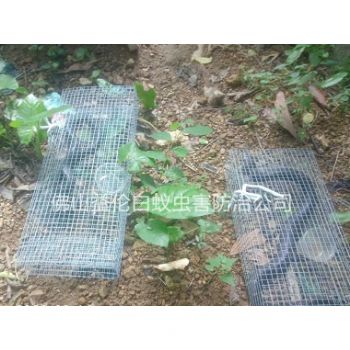 新圩公园捕蛇、抓蛇案例