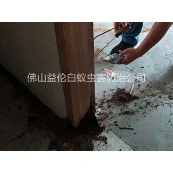 杨梅翠岸华庭灭治白蚁