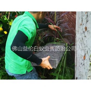 三洲除四害公司抓蛇工程