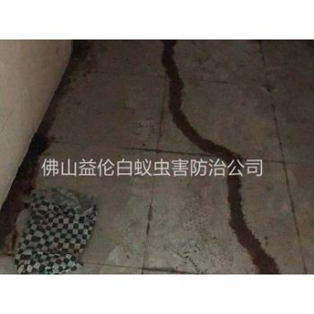 更合住宅房屋白蚁防治