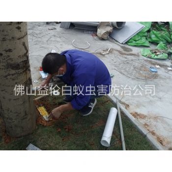 新圩装置白蚁诱杀箱