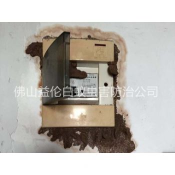 人和防治电箱白蚁蚁害