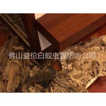 更楼教师村除白蚁危害