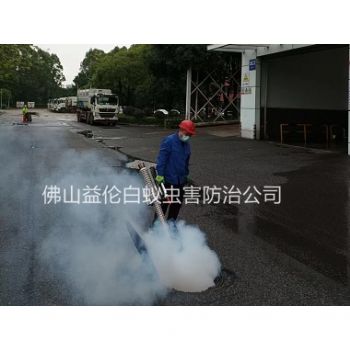 杨和街道杀蟑螂蚊蝇