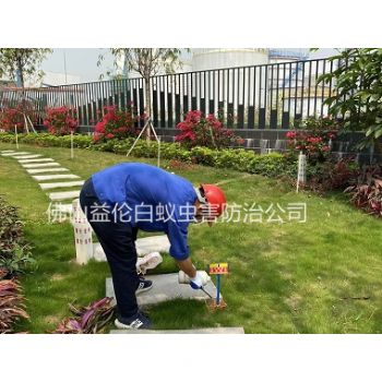 荷城公园红火蚁防治