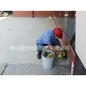 高明区工厂施药灭鼠