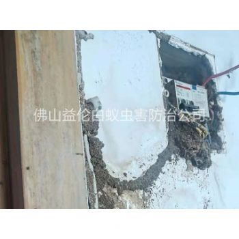 更楼房屋杀灭白蚁