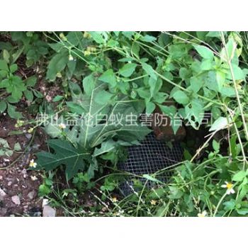 杨和镇上门驱蛇防蛇