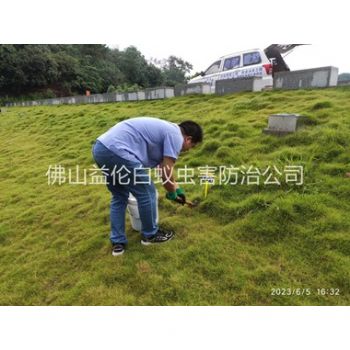 富湾堤坝有害蚁类防控