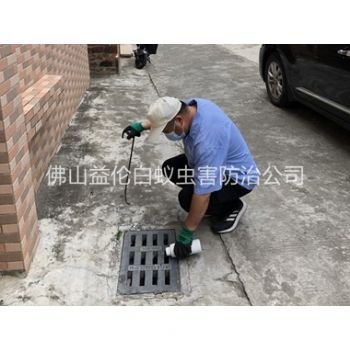 新圩蚊蝇孳生地消杀