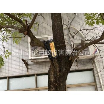 更合园林白蚁防治