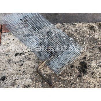 高明区上门抓蛇工程