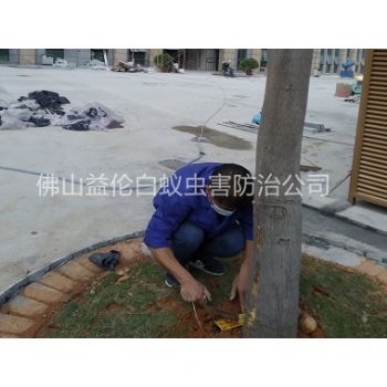 富湾装置白蚁诱杀箱