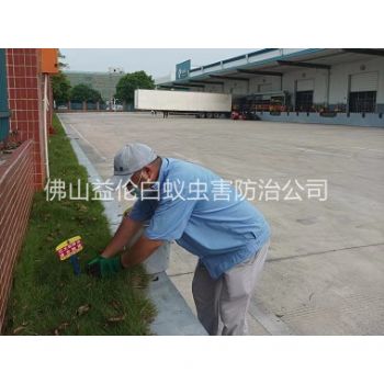 人和企业杀除红火蚁