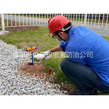 更合园区治红火蚁