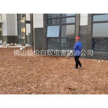 新圩房屋白蚁预防