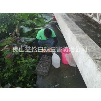 富湾四害站进行捕蛇