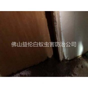 三洲仓库蚁害防治