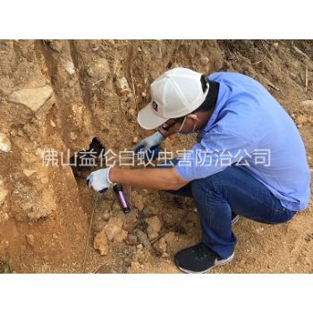 更合水库堤坝灭白蚁