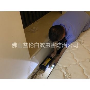 更楼灭治家居白蚁