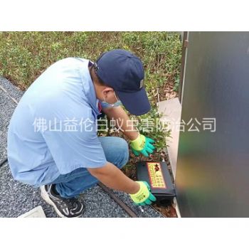 杨梅施药灭鼠工程