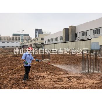 高明基础白蚁预防