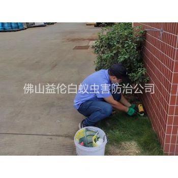 合水布放灭鼠屋工程