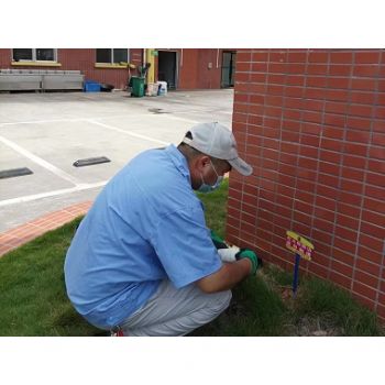 快速治理，价格最低