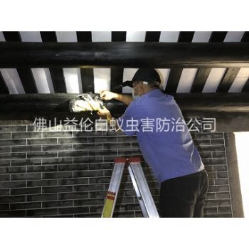 佛山祠堂杀灭白蚁工程