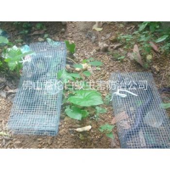 富湾驱蛇防蛇工程