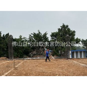 荷城新建地基预防白蚁工程