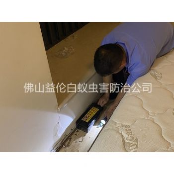 高明家居白蚁灭治工程
