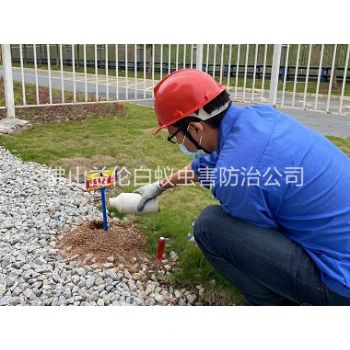 荷城红火蚁防治工程